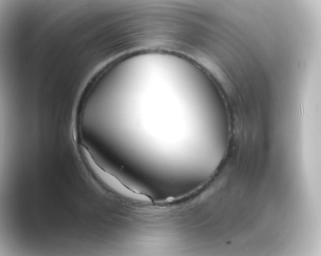 X0000088720888200706212018