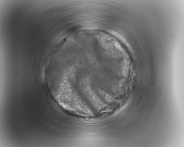 X0000088720889200706212018