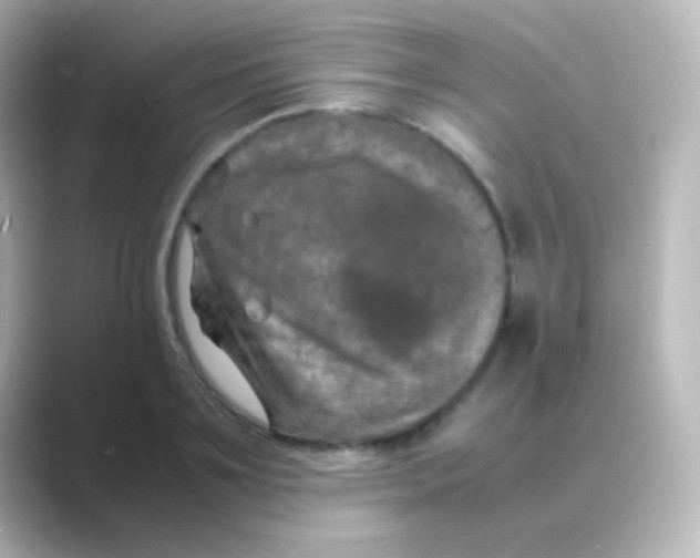 X0000088720891200706212018