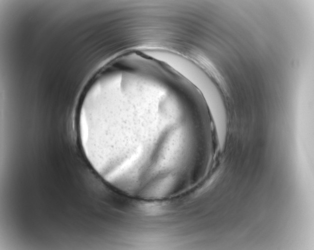 X0000088720892200706212018