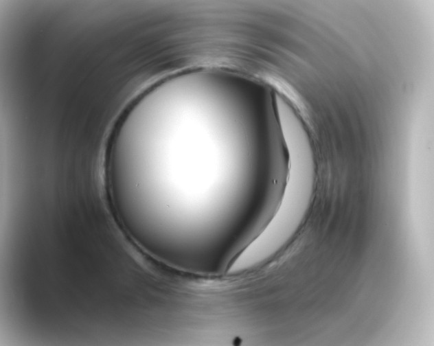 X0000088720894200706212018