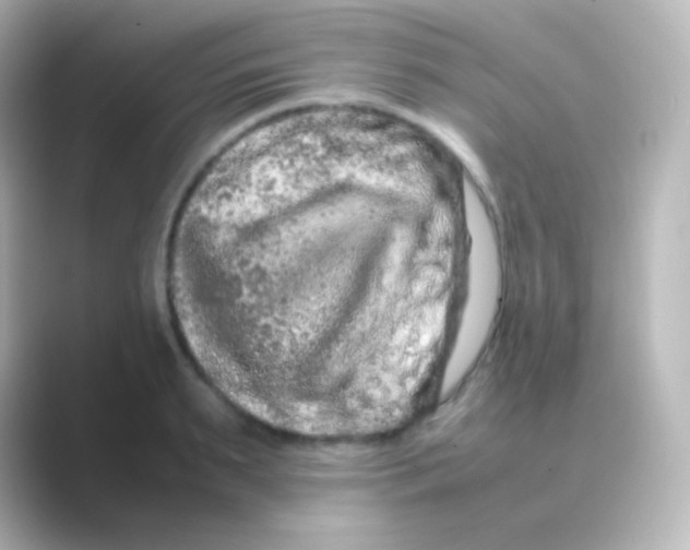 X0000088720895200706212018