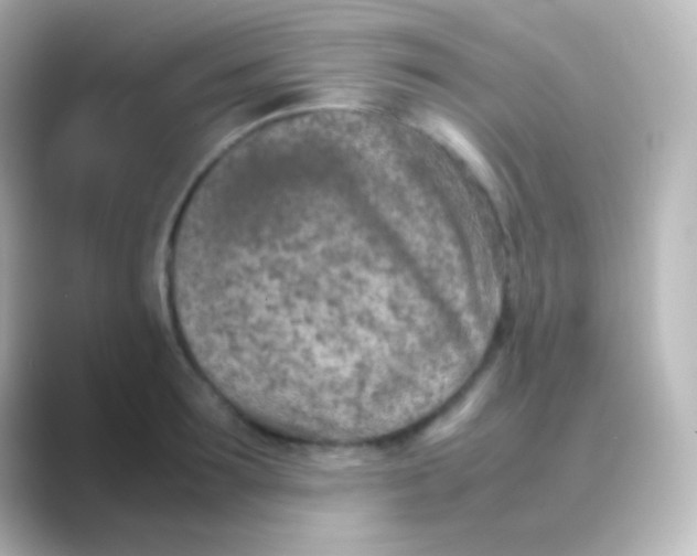 X0000088720899200706212018