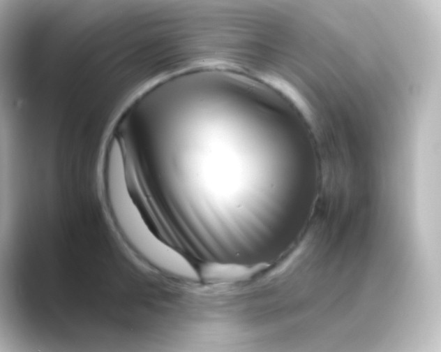 X0000088720902200706212018