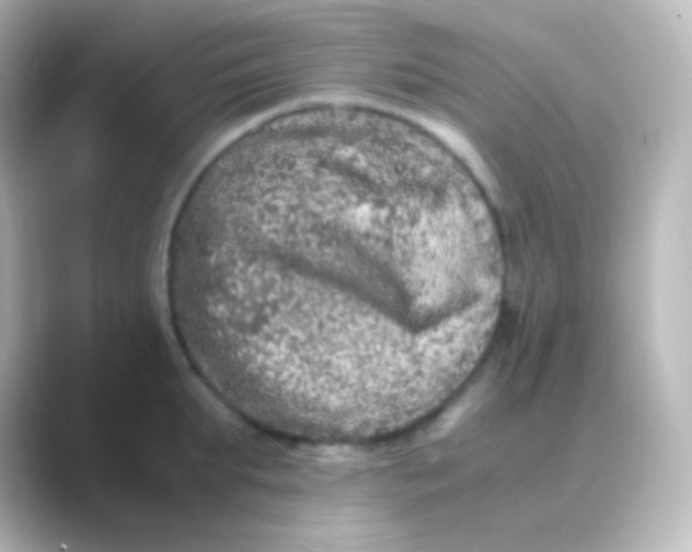 X0000088720903200706212018