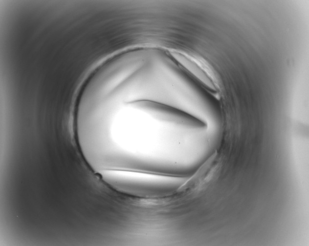 X0000088720904200706212018