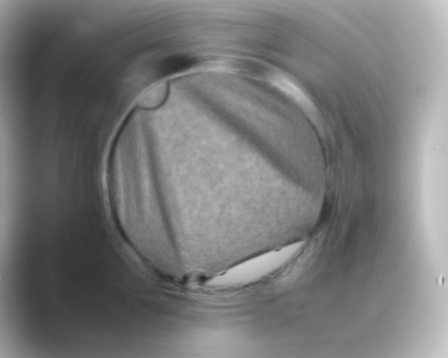 X0000088720907200706212018