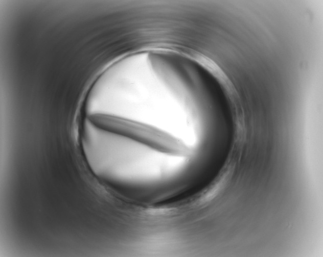 X0000088720908200706212018