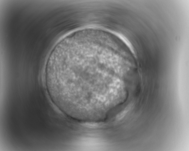 X0000088720911200706212018