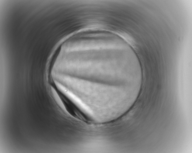 X0000088720912200706212018