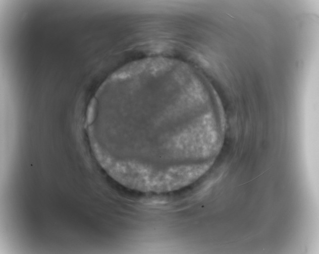 X0000088720913200706212018