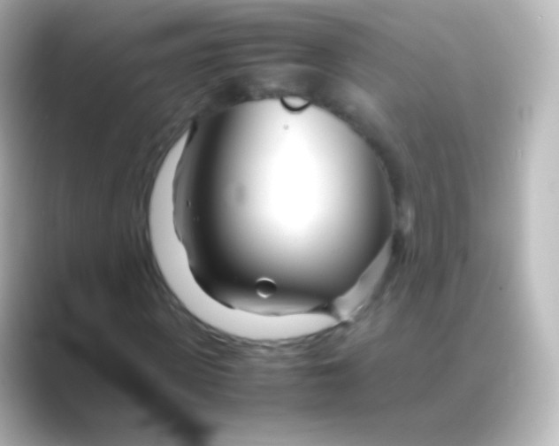 X0000088720915200706212018