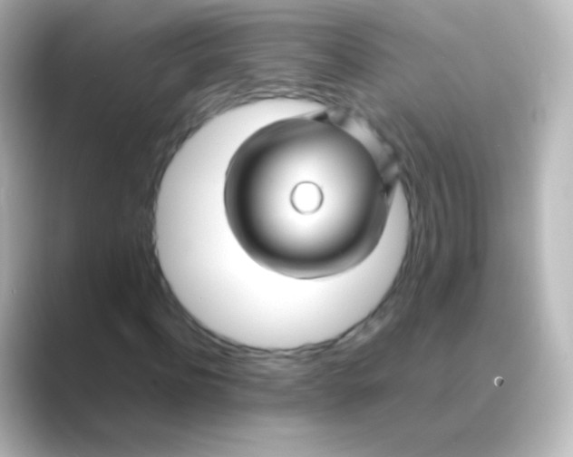 X0000088720916200706212018