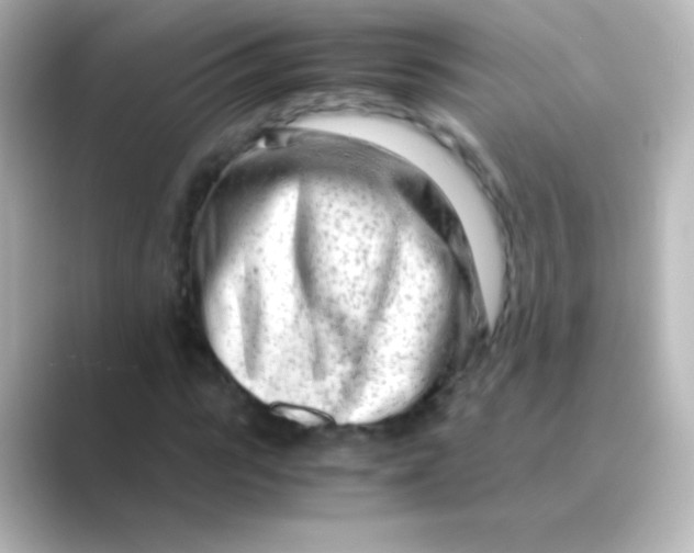 X0000088720919200706212018