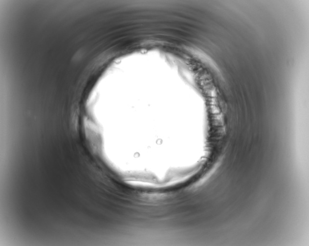 X0000088720921200706212018