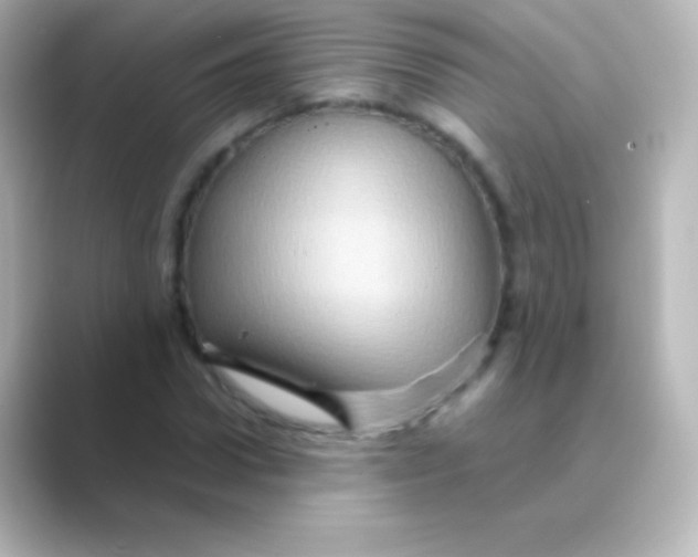 X0000088720922200706212018