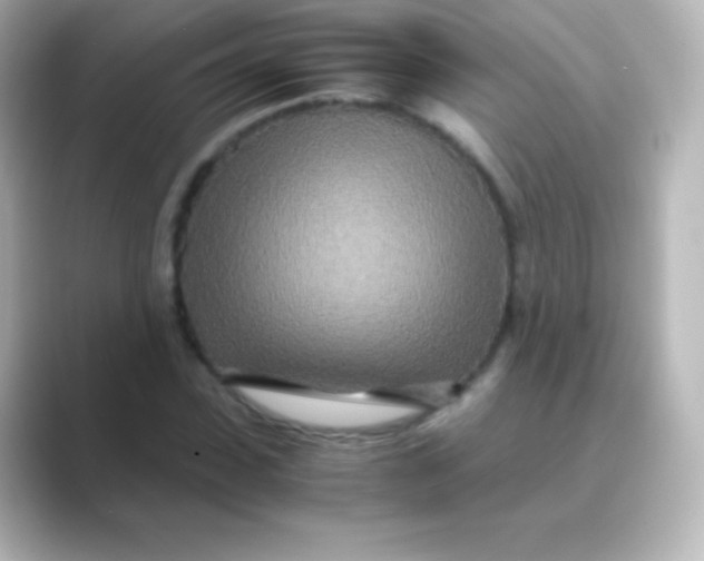 X0000088720923200706212018