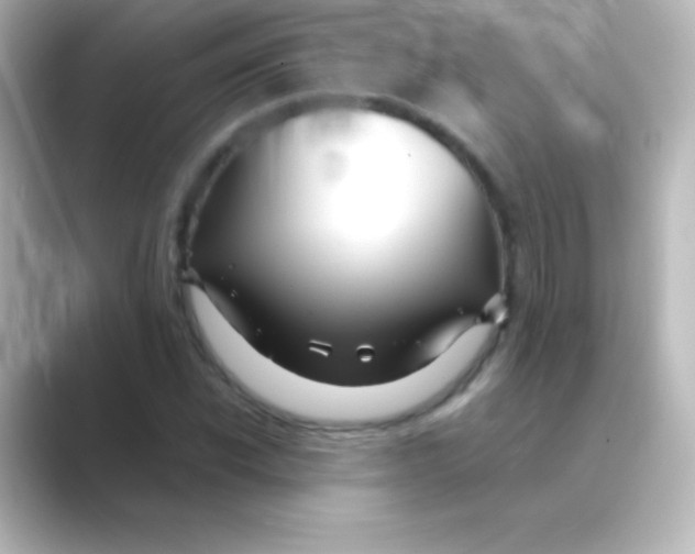 X0000088720926200706212018