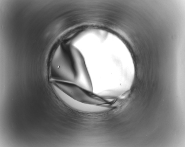 X0000088720927200706212018