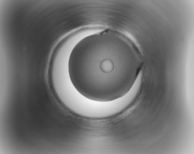 X0000088720928200706212018