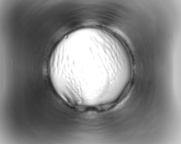 X0000088720929200706212018