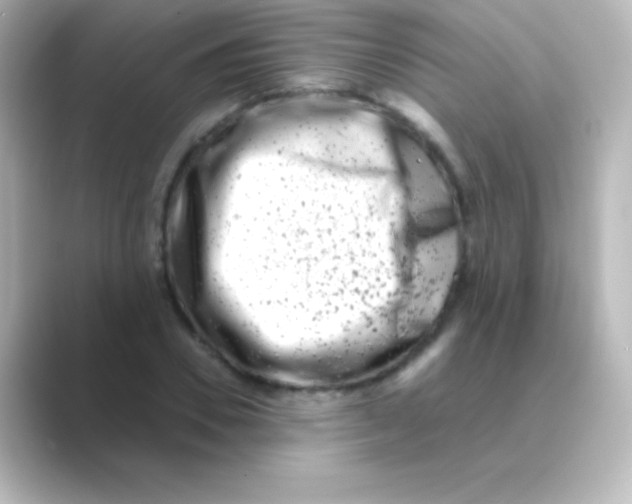 X0000088720930200706212018