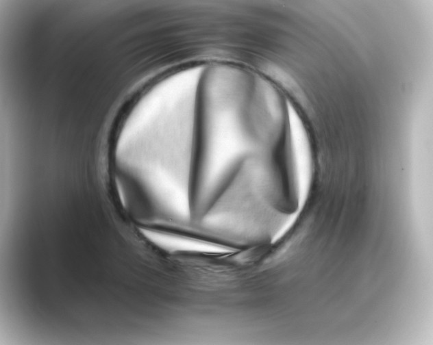 X0000088720931200706212018