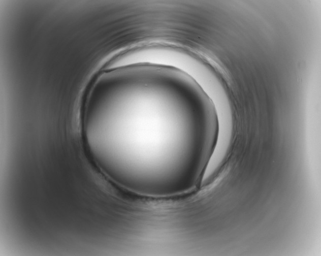 X0000088720934200706212018