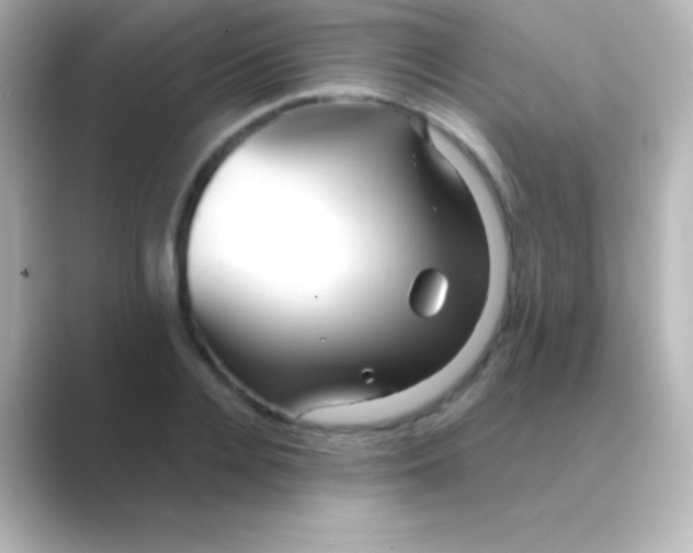 X0000088720936200706212018