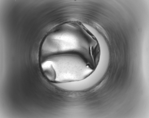 X0000088720938200706212018