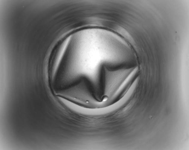 X0000088720939200706212018