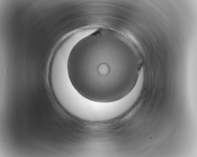 X0000088720940200706212018