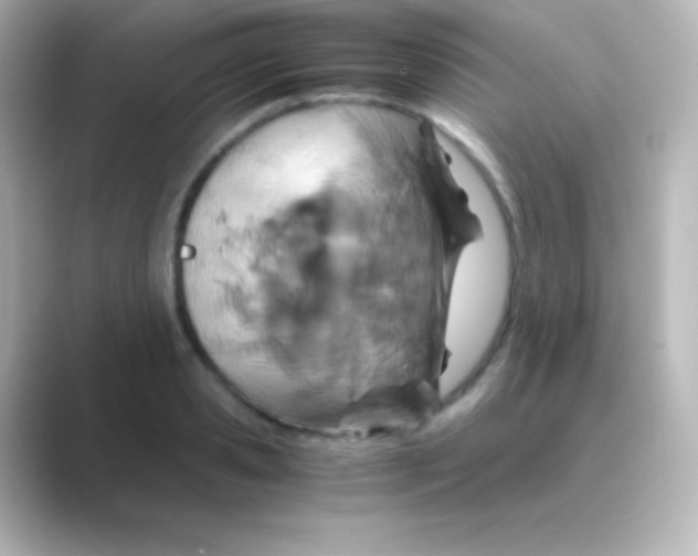 X0000088720941200706212018