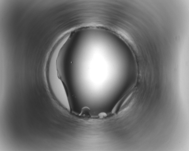 X0000088720942200706212018