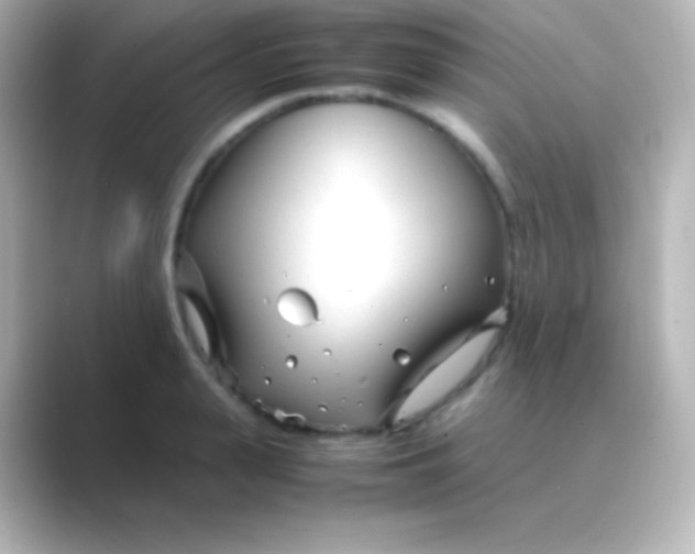 X0000088720943200706212018