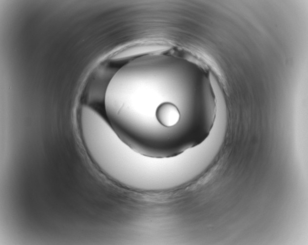 X0000088720944200706212018