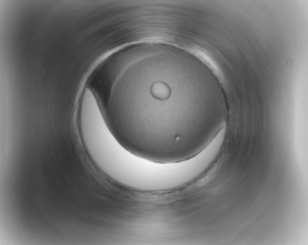 X0000088720948200706212018