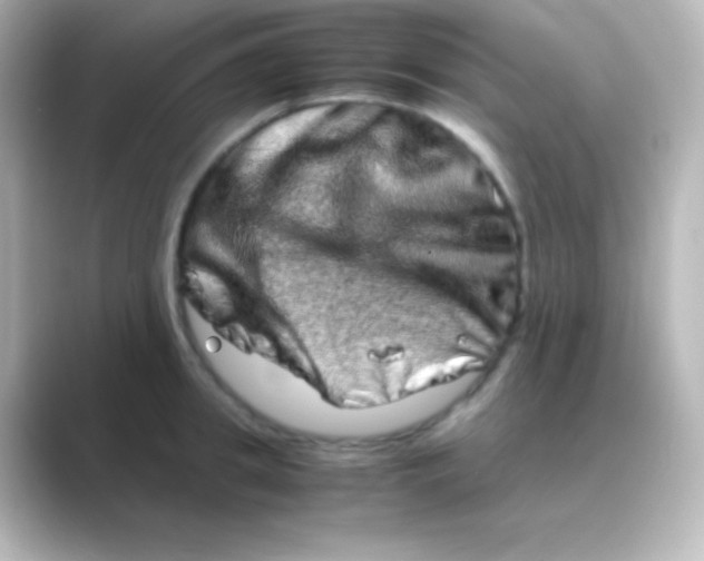 X0000088720949200706212018