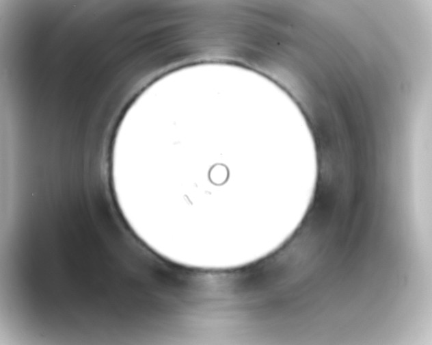 X0000088720950200706212018