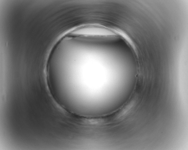 X0000088720951200706212018