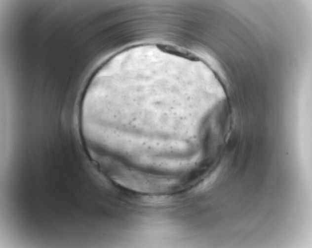 X0000088720952200706212018