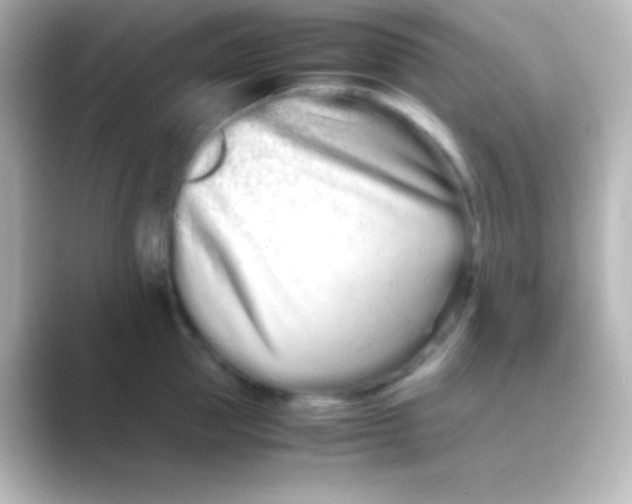 X0000088720953200706212018