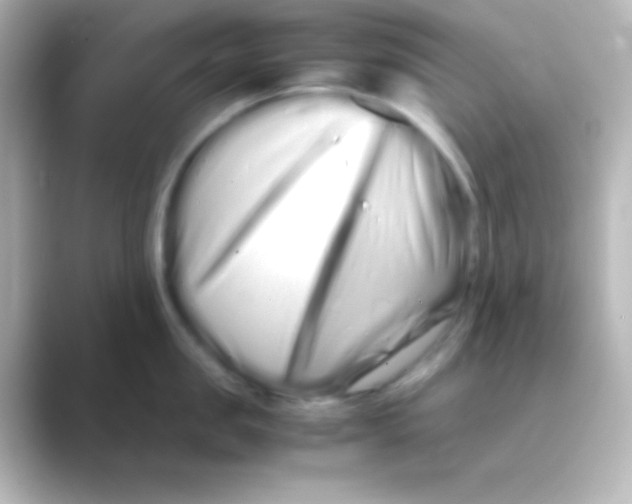 X0000088720957200706212018