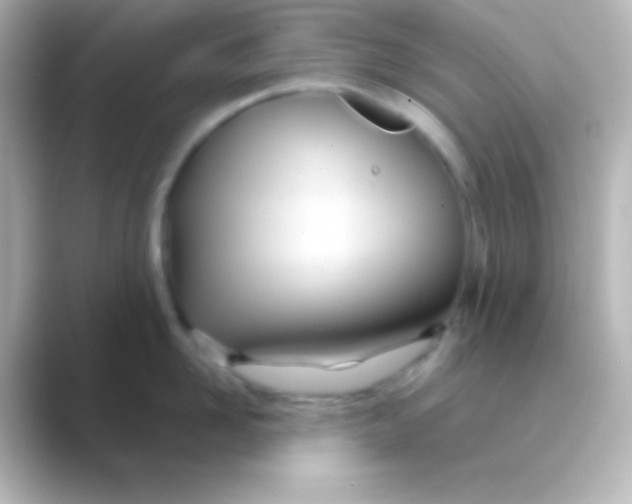 X0000088720958200706212018