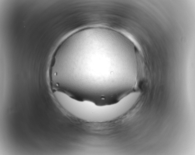 X0000088720959200706212018