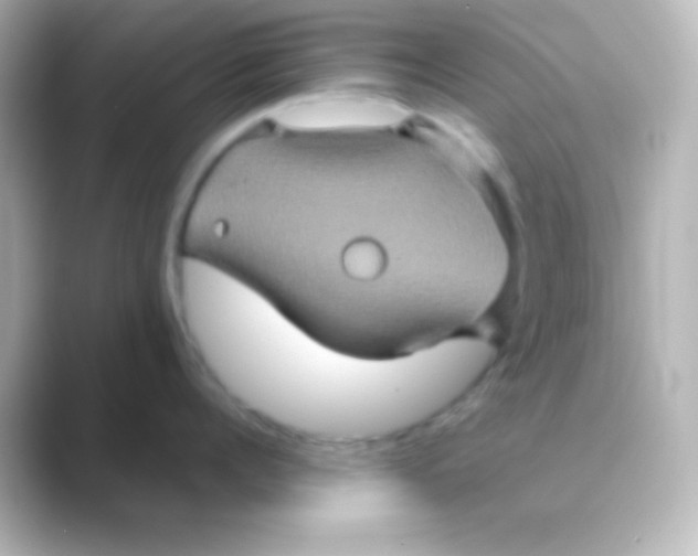 X0000088720960200706212018