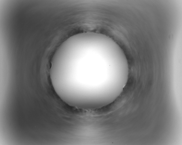 X0000088720961200706212018