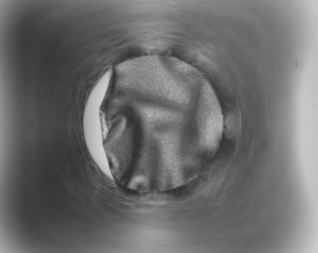 X0000088720963200706212018