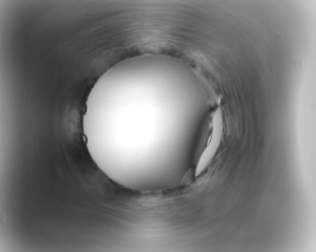 X0000088720964200706212018