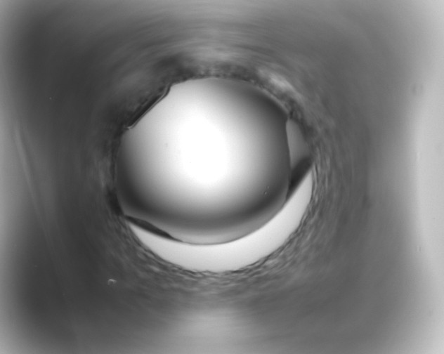 X0000088720965200706212018